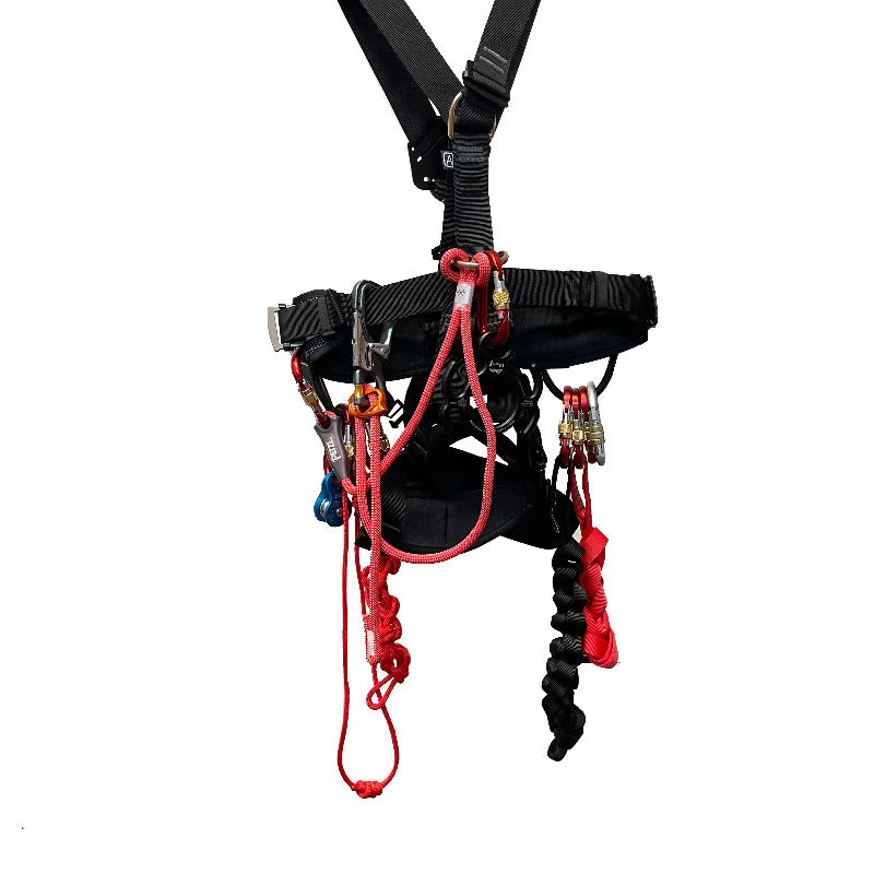 PSA - Gurt Set - Petzl DUAL CONNECT ADJUST inkl. EASHOOK