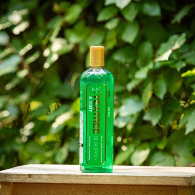Teatree & Mint Shampoo
