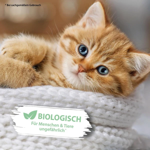 Arka Pipi-Weg Katze Geruchs- & Fleckenentferner 100 ml Für Unterwegs