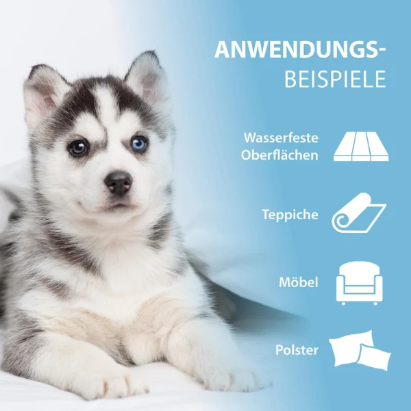 Arka Pipi-Weg Hund Geruchs- & Fleckenentferner 100 ml Für Unterwegs