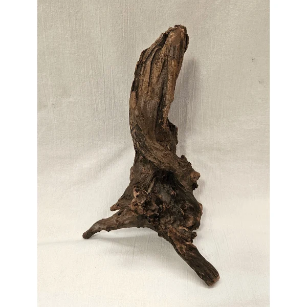 Sera Drift Wood, Natürliches Treibholz M #017
