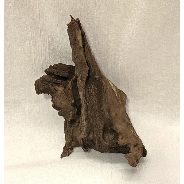 Sera Drift Wood, Natürliches Treibholz M #014