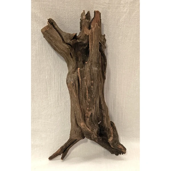 Sera Drift Wood, Natürliches Treibholz M #011