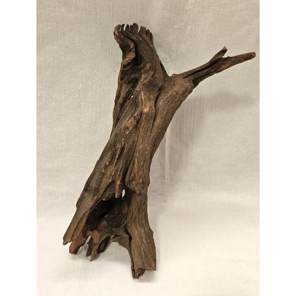 Sera Drift Wood, Natürliches Treibholz M #011