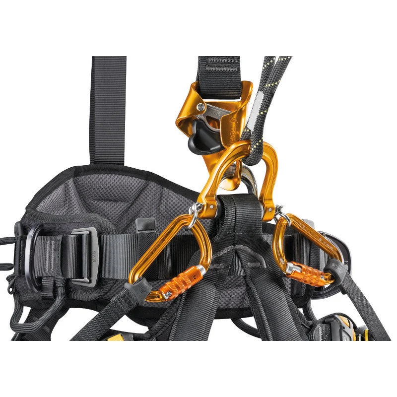 Petzl ASTRO internationale Ausführung