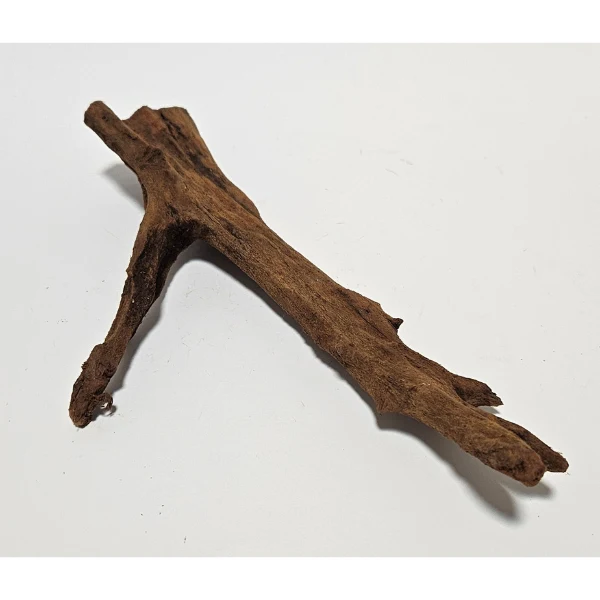 Orbit Mangroven Wurzel S #0129