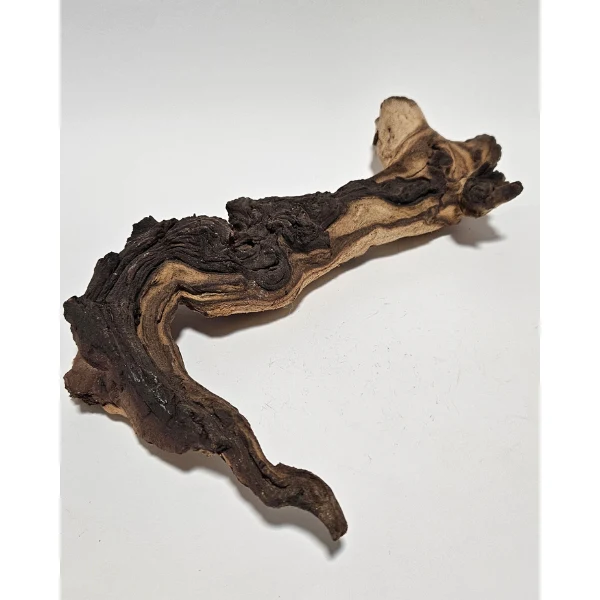 Aquadeco Mopani Wurzel M 2-farbig #316