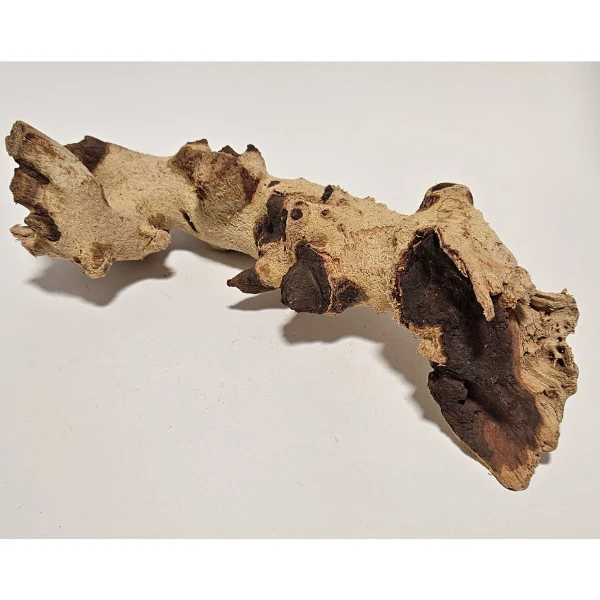Aquadeco Mopani Wurzel M 2-farbig #313