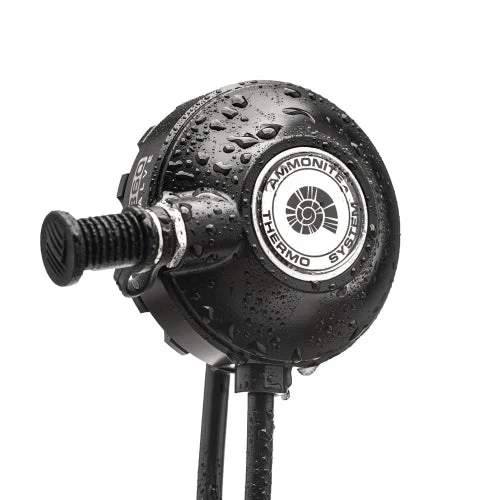 Ammonite Anzugdurchführung T-Valve