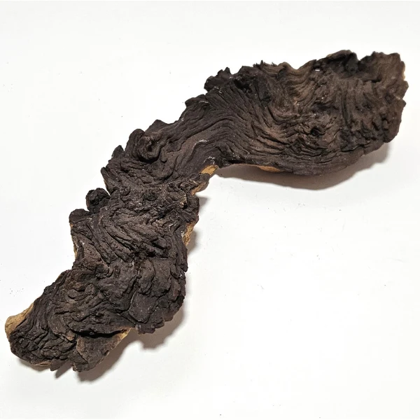 Aquadeco Mopani Wurzel S 2-farbig #124