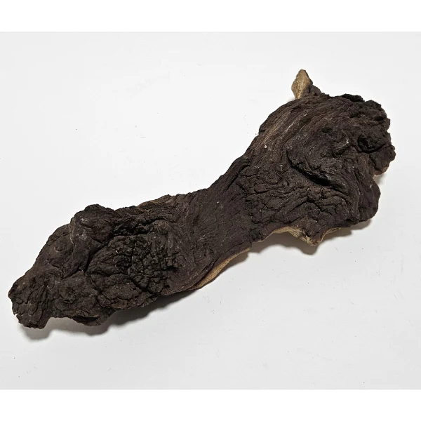 Aquadeco Mopani Wurzel S 2-farbig #117