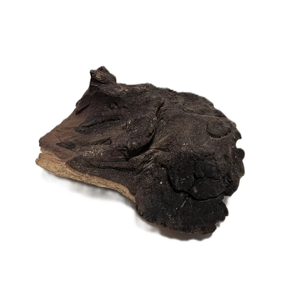 Aquadeco Mopani Wurzel S 2-farbig #109