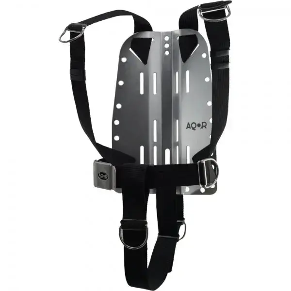 AQOR Rec 38 Mono DIR Set