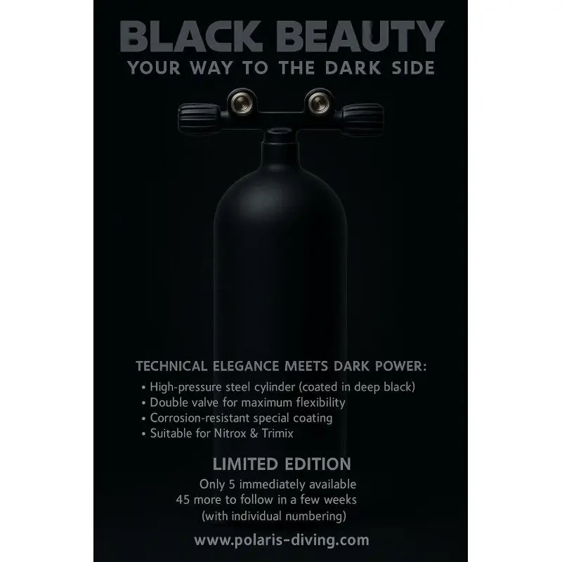 ECS 12L lang/232 bar Stahl TG konkav ( matt schwarz ) mit Twinventill (Black Beauty)