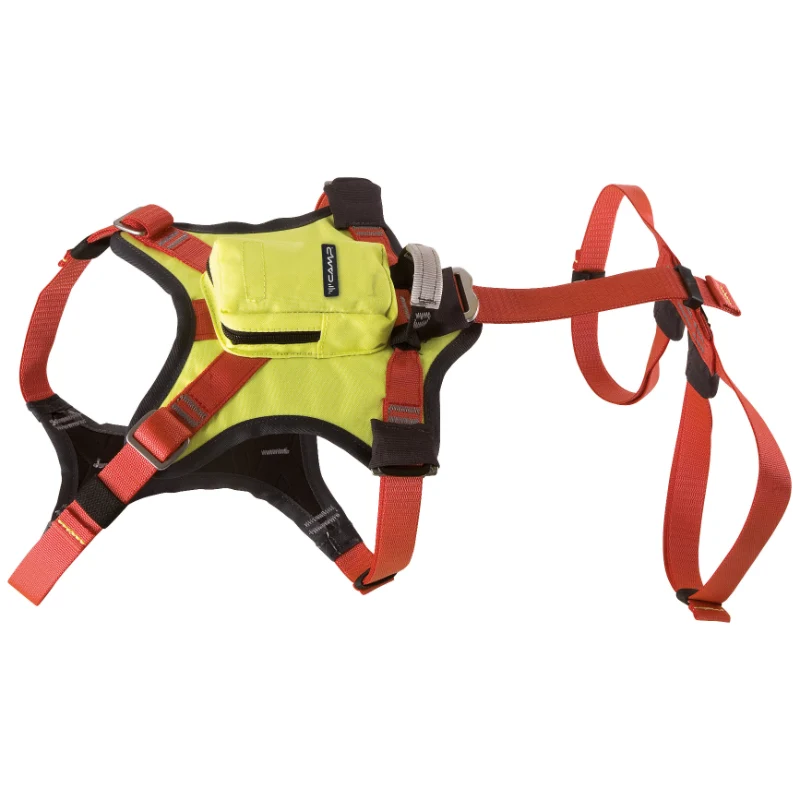 Camp Kronos Hundegurt