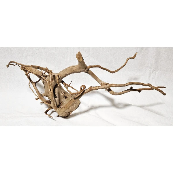 AP Moorwurzel Spiderwood L #301