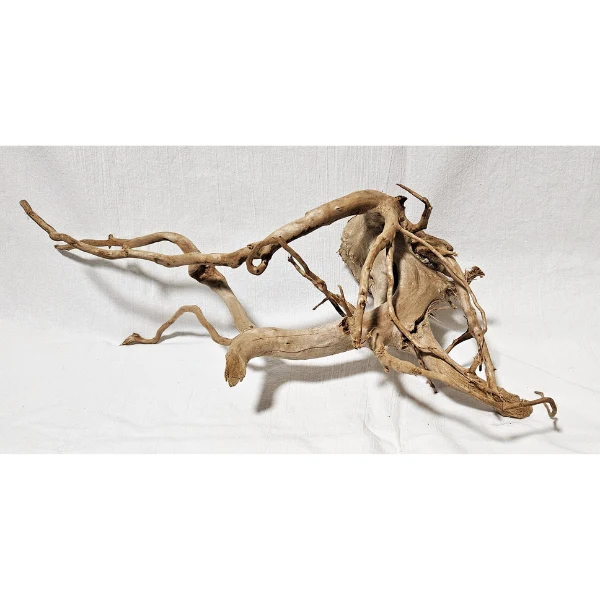 AP Moorwurzel Spiderwood L #301