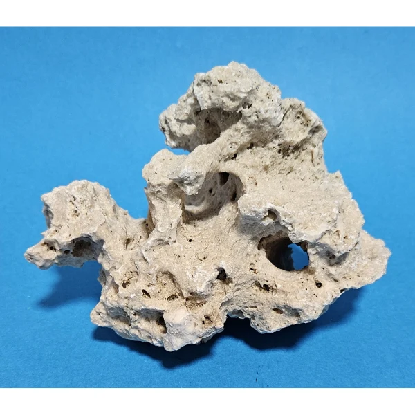 Orbit Lochgestein Sansibar S #014