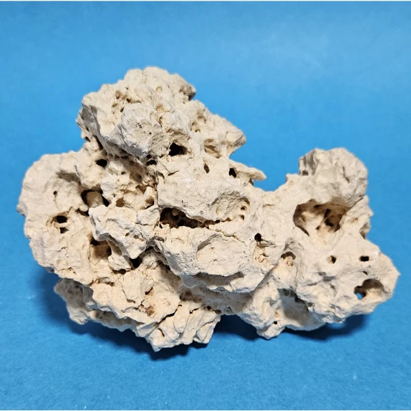 Orbit Lochgestein Sansibar S #008