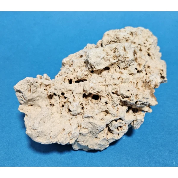 Orbit Lochgestein Sansibar S #006