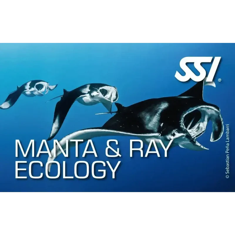 Alle SSI Ecology Kurse – Deine Komplettausbildung für das Verständnis der Unterwasserwelt