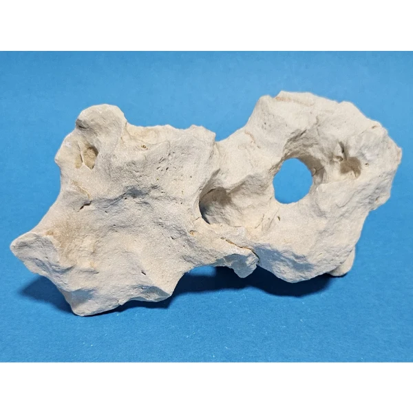 Orbit Lochgestein Sansibar S #088