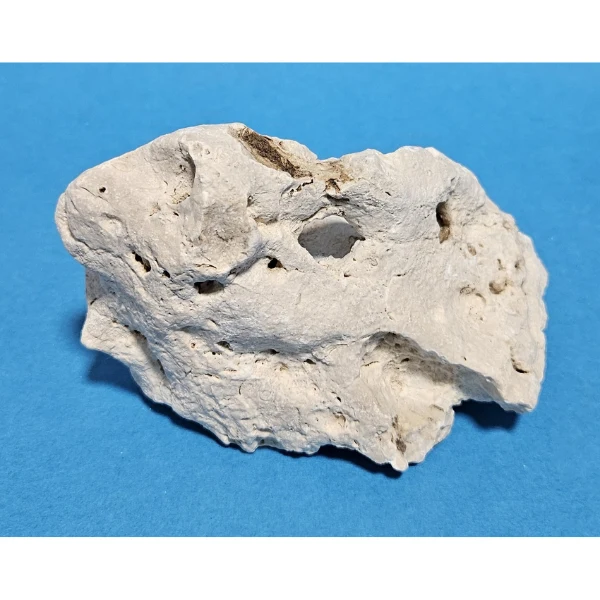 Orbit Lochgestein Sansibar S #086