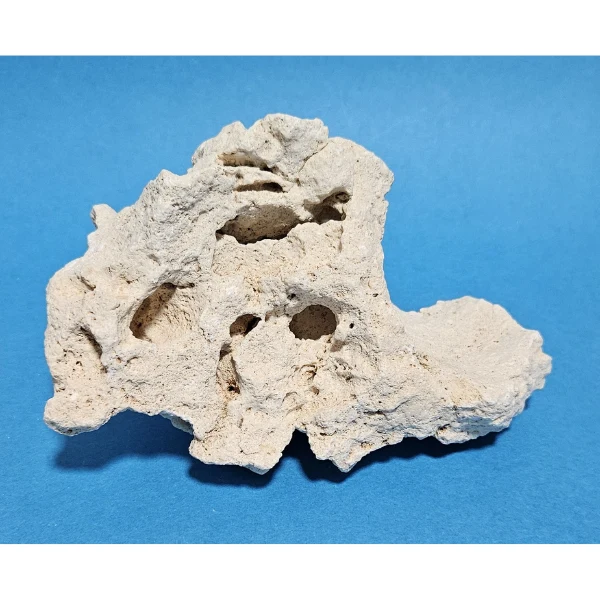 Orbit Lochgestein Sansibar S #085