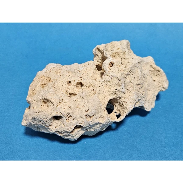 Orbit Lochgestein Sansibar S #080