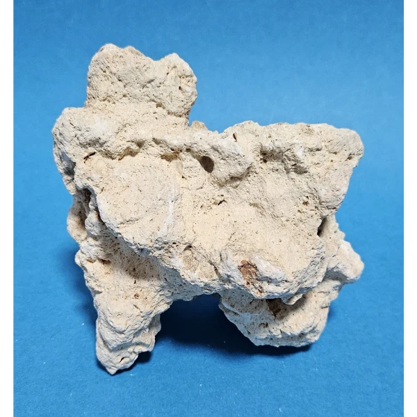 Orbit Lochgestein Sansibar S #077