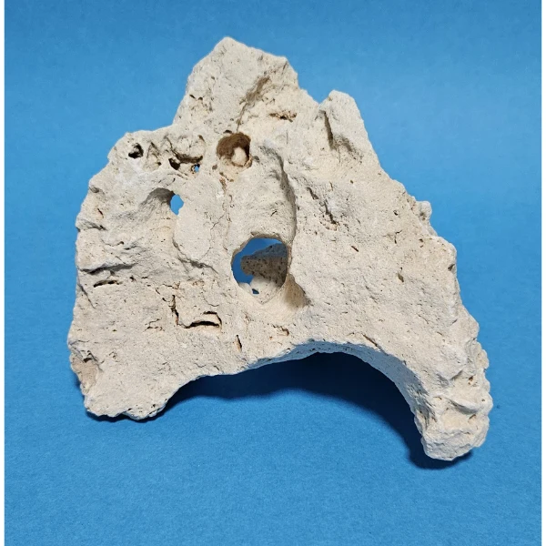 Orbit Lochgestein Sansibar S #070