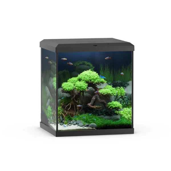 Juwel VIO CUBE 54 SBX 54l Aquarium Kombination