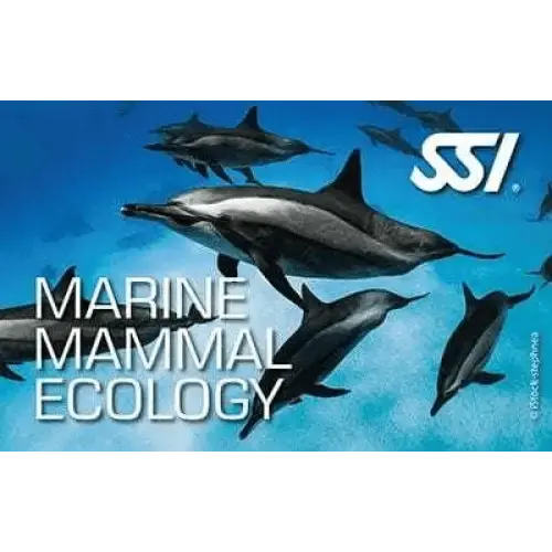 SSI Marine Mammal Ecology