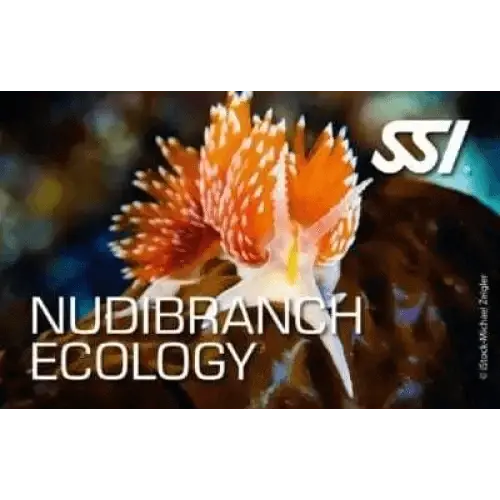 SSI Nudibranch Ecology