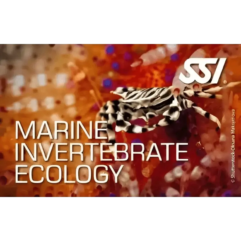 SSI Marine Invertebrate Ecology