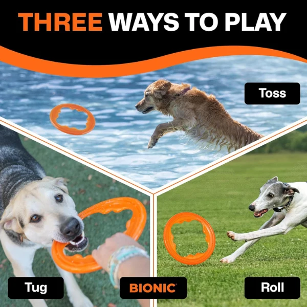 BIONIC Toss-N-Tug Turbo Hunde Apportierspielzeug, Wurfscheibe