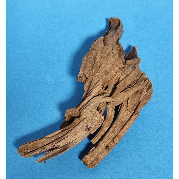 aquadeco Yati-Holz, Jungle Wood S #21
