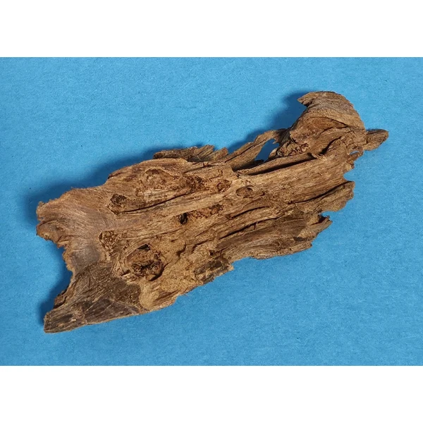 aquadeco Yati-Holz, Jungle Wood S #08