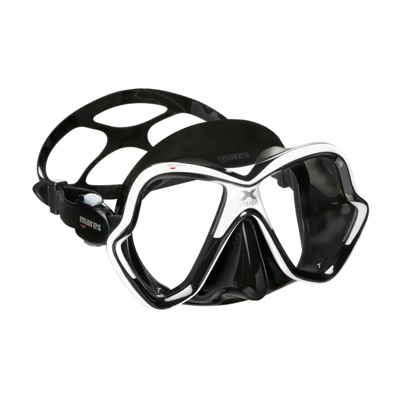 X-VISION