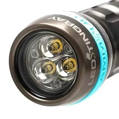 Ammonite LED STINGRAY MARK II