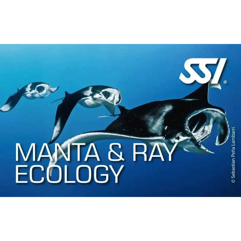 SSI Manta & Ray Ecology Kurs