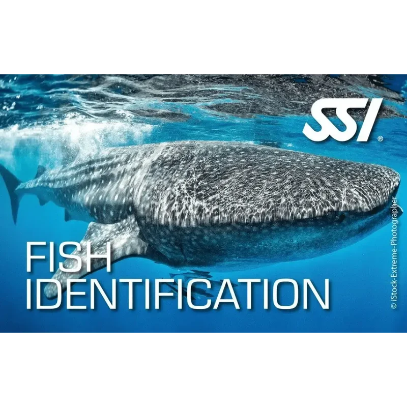 SSI Fish Identification Ecology Kurs