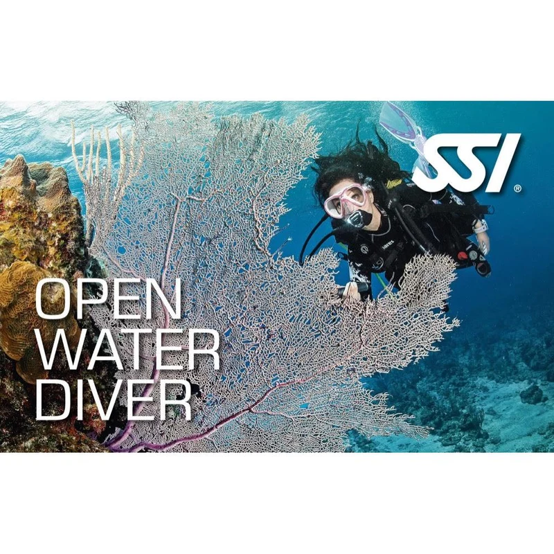 Open Water Tauchkurs komplett