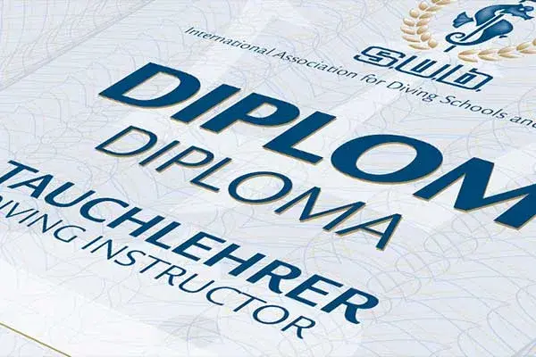 s.u.b. Assistant Instructor