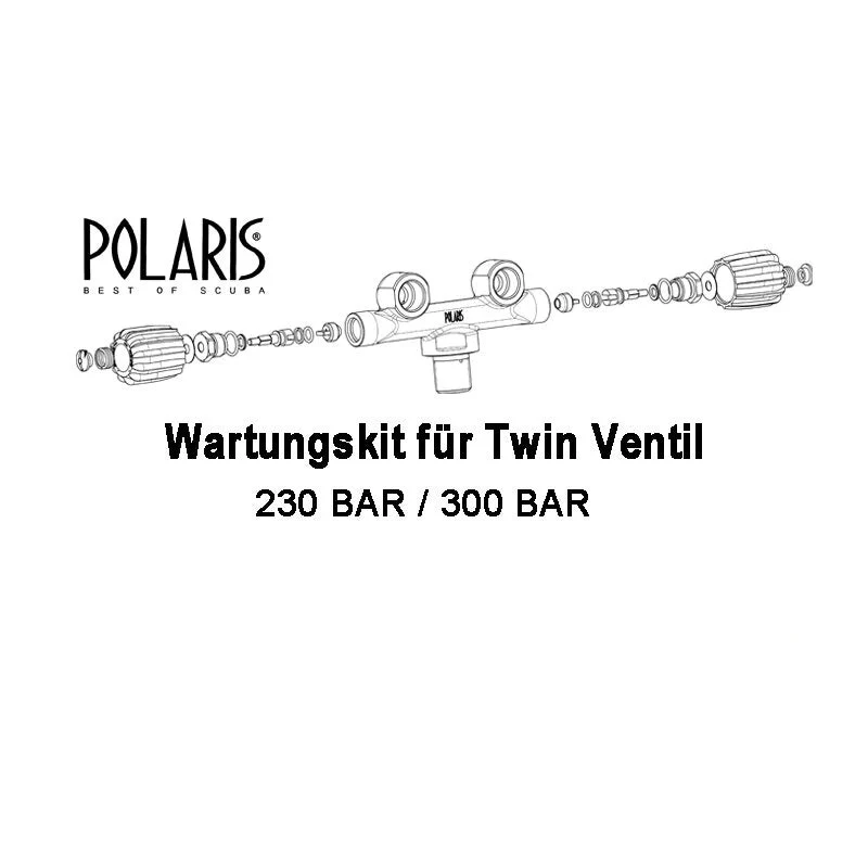 Polaris Wartungssatz für T-Ventil Viton
