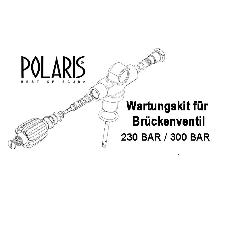 Polaris Wartungssatz für Brückenventil mit Zweitabgang Viton