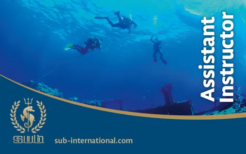 s.u.b. Assistant Instructor