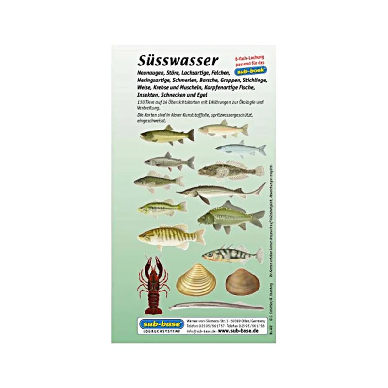 Subbase Fischbestimmungskarten fürs Logbuch Süßwasserfische