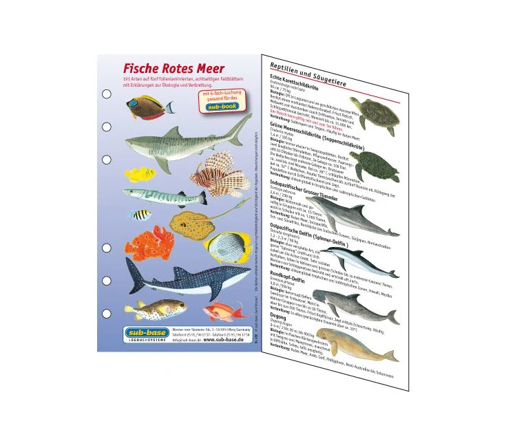 Subbase Fischbestimmungskarten fürs Logbuch rotes Meer