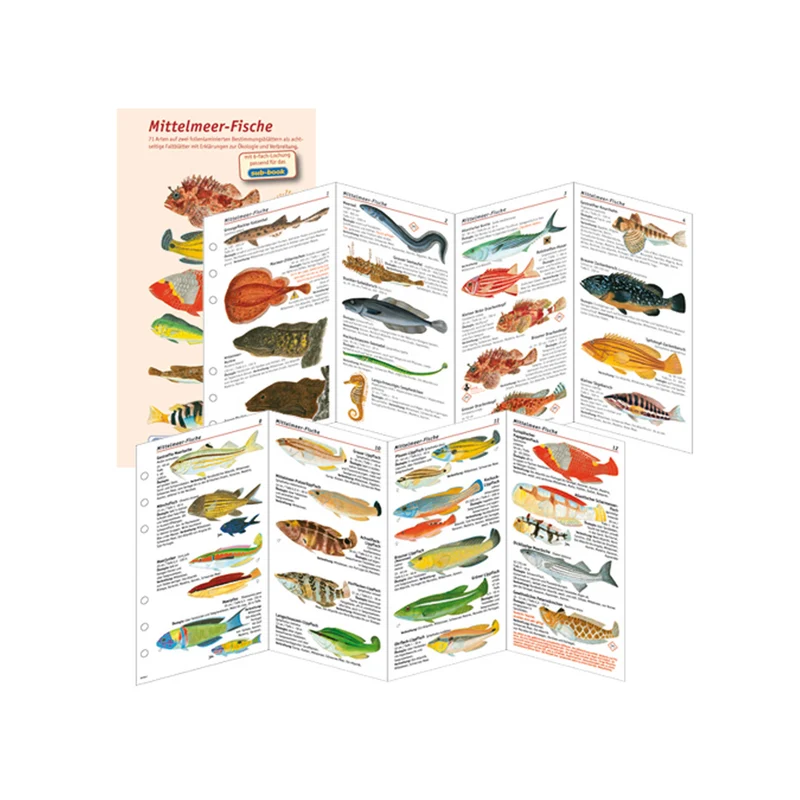 Subbase Fischbestimmungskarten fürs Logbuch Mittelmeerfische